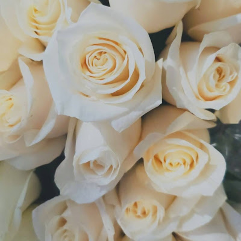 Meet your Posher, Ana